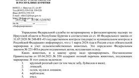 Чем заменяется штраф: альтернативные виды ответственности в Комус