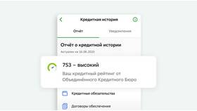 Что такое класс рейтинга в кредитной истории в Комус