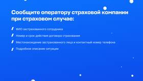 Как написать заявление о страховом случае в Комус