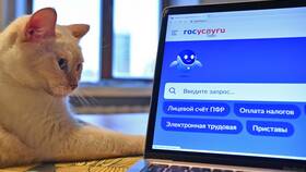 Как получить выписку из ЕГРН через портал Госуслуги в Комус