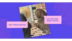 Как узнать свою официальную заработную плату в Комус