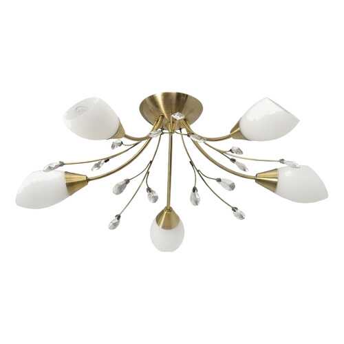 Люстра потолочная MW-LIGHT 356012905 в Комус