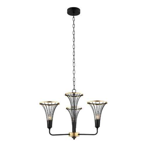 Подвесная люстра Lumien Hall 4017/3P-BK-GD в Комус